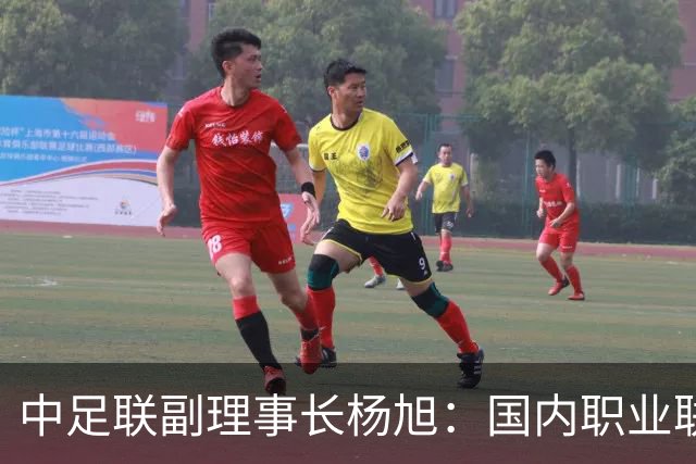 中足联副理事长杨旭：国内职业联赛要对标世界杯转播水准