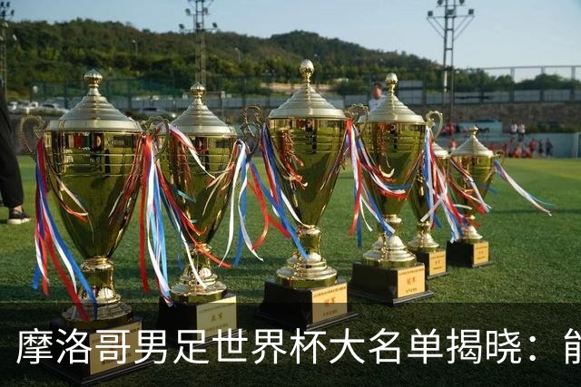 摩洛哥男足世界杯大名单揭晓：能否再创辉煌？