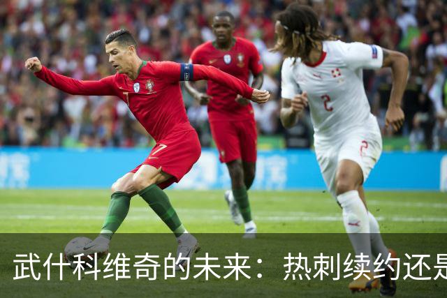 武什科维奇的未来：热刺续约还是豪门转会？